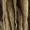 Deluxe Dreads Wig